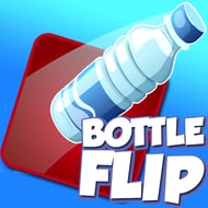 Bottle Flip img